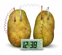 Часы, работающие от овощей
