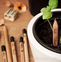 Растущие карандаши "Цветущий сад" чернографитовые 3 шт.